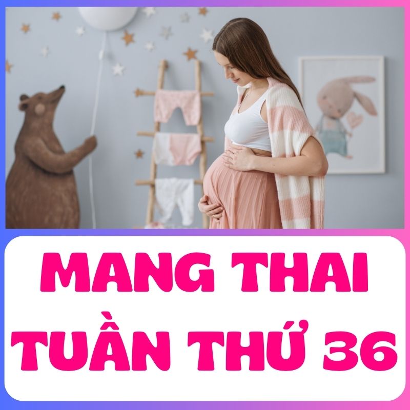 Mẹ bầu thay đổi cơ thể khi mang thai tuần 36